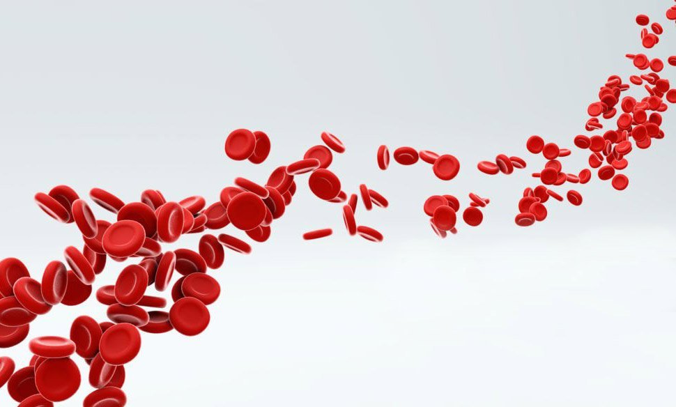হিমোগ্লোবিন (Hemoglobin) কি?